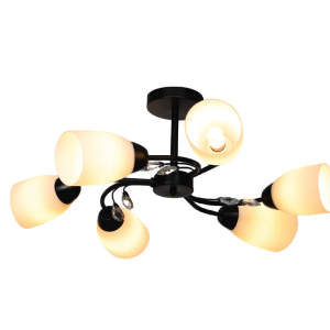 Multiple Bulb Ceiling light
